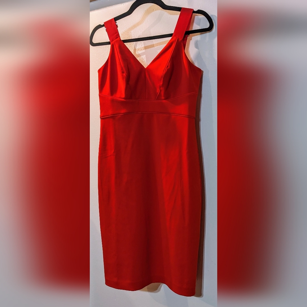Ted Baker London Trixxie Panel Body-Con Dress Size 2 - RED - Worn Twice - Picture 2 of 5